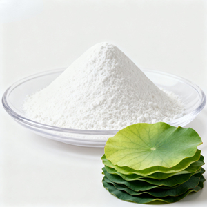 Extrato de Folha de Lótus Grau Alimentício Nuciferina Venda Direta da Fábrica Alta Qualidade - Product Image 4