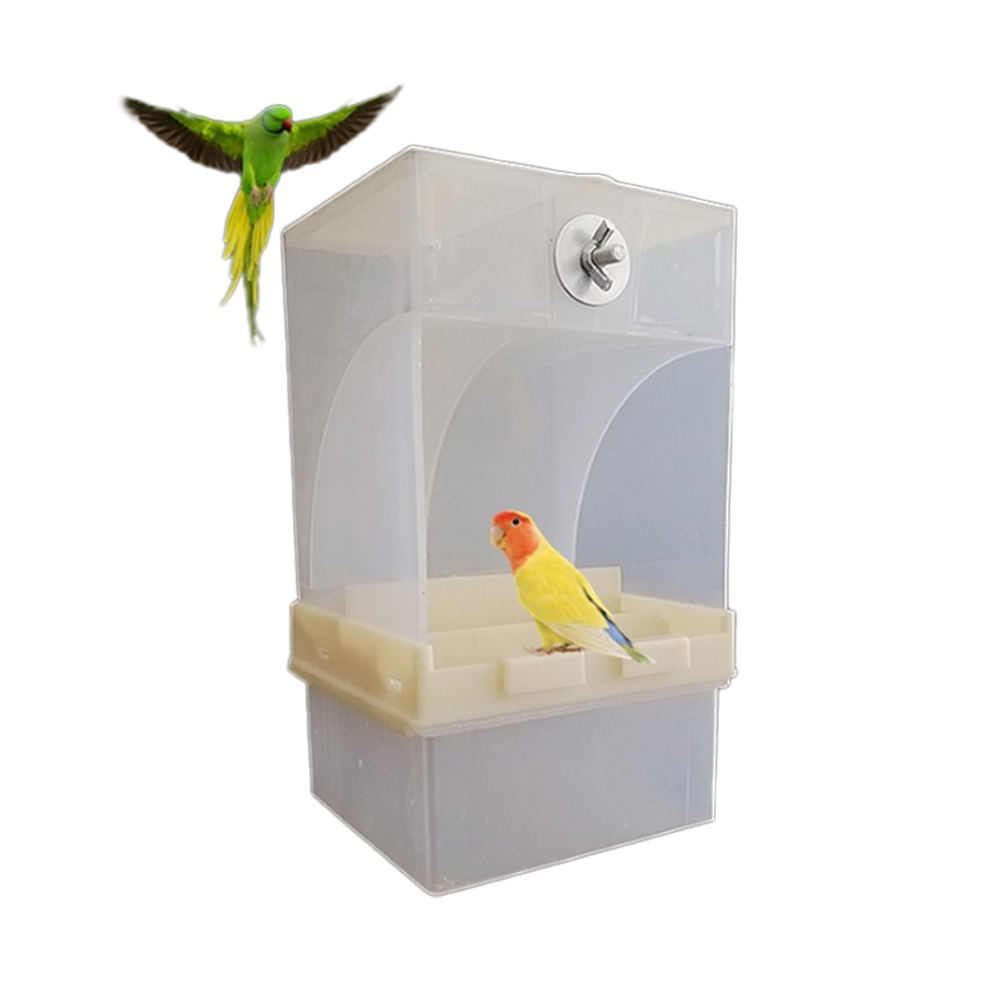 automatic pet bird feeder