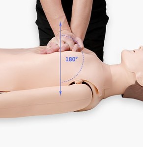 Scienza medica simulatore di CPR medico modello di addestramento di pronto soccorso modello di rianimazione cardiopolmonare del corpo umano - Product Image 5