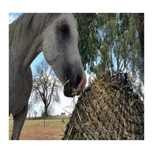 120cm kuda Suppliers-Horse Tas Jerami Pemberi Makan Lambat, Tas Jerami Kuda untuk Pemberi Makan Lambat