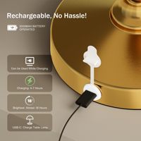 Lampe de table rechargeable sans fil USB Veilleuse de bureau tactile minimaliste Éclairage mobile portable pour chambre à coucher Chevet flexible