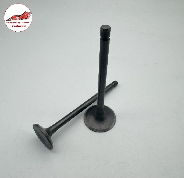 CG125 CG150 Motorcycle Engine Parts Reliable Intake Exhaust Valves with Valve Tappets High Performance for Smooth Operation