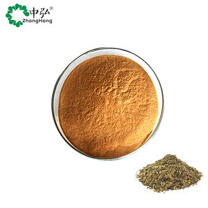 Polvo de extracto de té Yerba <span class=keywords><strong>Mate</strong></span> de calidad alimentaria - Product Image 3