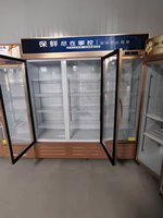 Congélateur commercial à compresseur, vitrine en verre à haute efficacité énergétique avec étagères réglables