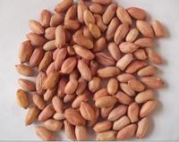 Moissonneuse de cacahuètes brutes sans coquille, de marque Thomas, de haute qualité, Agriculture avec 7% d'humidité