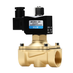 Vanne solénoïde 2K250-25 AC220V 3/4 po pour le contrôle de l'eau, température normale 0-1 Mpa, corps en laiton - Product Image 1