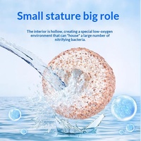 Sphère creuse en quartz pour filtre d'aquarium, support pour bactéries nitrifiantes, sac en filet pour culture de biofilm inclus, matériau de filtration