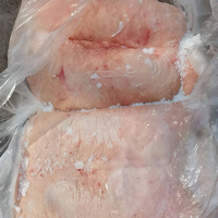 Gras de queue de mouton halal congelé de haute qualité à bon prix, disponible à la vente