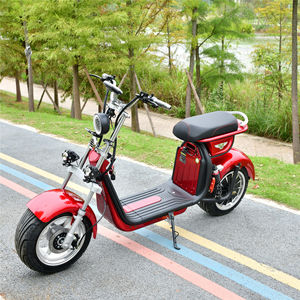 Scooter Eléctrico, Compra de Triciclo, Citycoco de 3000W, Batería de 20AH, EEC, 2 Ruedas - Product Image 2
