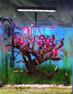 Waterplanten Voor Kleurverbetering Aquariumlicht Volledig Spectrum Aquariumverlichting Voor Levende Plantentank - Product Image 6