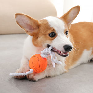 Giocattoli per animali domestici che squittiscono per cani giornale carota fosforescente riccio palla <span class=keywords><strong>squeaky</strong></span> cane giocattolo - Product Image 6