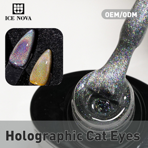ICE NOVA Holographique Cat Eye <span class=keywords><strong>Gel</strong></span> Polish Haute Qualité Hema Free Vegan OEM <span class=keywords><strong>Gel</strong></span> Nail Pretty Rainbow Cat Eye <span class=keywords><strong>Gel</strong></span> Polish - Product Image 5