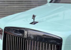 Rouleaux d'autocollants d'enveloppe de voiture en vinyle vert <span class=keywords><strong>Saga</strong></span> du fabricant de vinyle en gros d'usine - Product Image 3