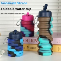 Bouteille de voyage pliable portable 500 ml, gobelet en silicone, bouteille d'eau peu encombrante pour le camping et la randonnée