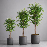 OH ARTS Arbre artificiel Ficus Bola de 1,5 m avec tronc en bois véritable pour décoration extérieure et accessoires de jardin
