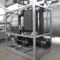 50kg 500kg 2000kg Aardbeien Voedsel Commerciële Productielijn Lyofilisator Vriesdroger
