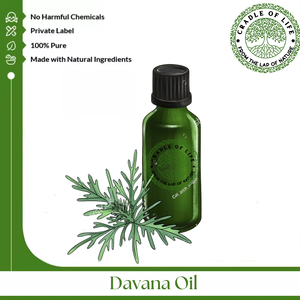 El aceite de Davana se obtiene por destilación al vapor de partes frescas de la Artemisia pallens, el aceite es un líquido fluido. - Product Image 6