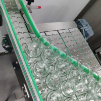 Convoyeur pour ligne de production d'emballage, équipement de remplissage haute productivité pour applications de shampooing, de gel et de liquides visqueux