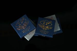 LP Boutique <strong>Tips</strong> 50 Pcs Pack 10.5 mm <strong>Replacement</strong> <strong>Tips</strong> Billiards Snooker <strong>Cue</strong> <strong>Tip</strong> - Product Image 5