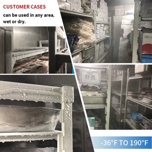 Étagères de stockage à froid antirouille en plastique à 5 couches de haute qualité pour la viande congelée et le rouleau de support réglable d'entrepôt formant la machine - Product Image 5