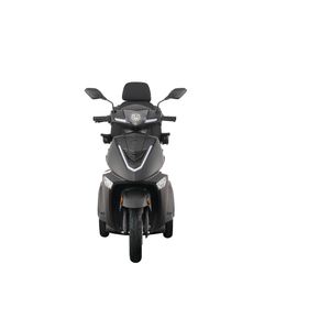 Triciclo eléctrico con batería de plomo-ácido de 1000W, duradero y resistente, calidad garantizada VISTA-3 - Product Image 2