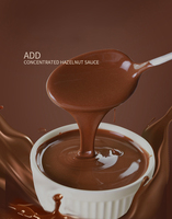 Sauce au chocolat commerciale avec filet croustillant aux noisettes pour gâteau Dessert crème glacée beignet garnitures