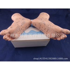 Modèle de pied en plastique Shanghai Weiye 20 cm pour la réflexologie et la thérapie des pieds - Product Image 2