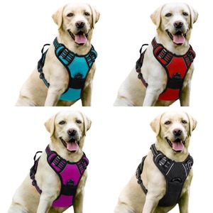 Harnais et laisse pour <span class=keywords><strong>chien</strong></span> de style gilet en polyester extensible, réfléchissant, confortable et antichoc, très vendu, pour chiens de taille moyenne à grande - Product Image 1