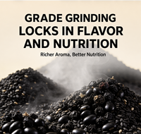 Poudre de céréales NANFANG Yam Walnut Five Black Grains 480g, mélange de céréales, boisson instantanée nutritive pour le petit-déjeuner