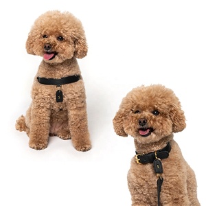 Individuell Anpassbares Schwarzes Designer-Hundehalsband aus Wasserdichtem, Veganem Luxus-Leder mit Metallschnalle für Welpen und mittelgroße Hunde, inklusive Anhänger - Product Image 6