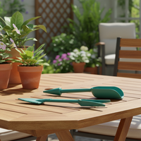 Outil universel spécial pour le jardinage, le repiquage des semis de plantes succulentes, outil de plantation, outil de semis pour adultes en extérieur