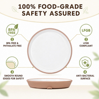Assiette bébé en céramique, base en silicone antidérapante, sans BPA, qualité alimentaire, ensemble d'assiettes pour enfants en porcelaine pour les tout-petits