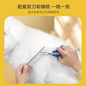 Kit de Aseo para Mascotas Chao Shun de 8 Piezas, Peine Desenredante, Cortauñas, Cuchilla de Aseo para Perros y Gatos - Product Image 4