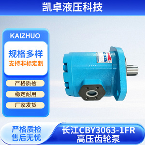 Pompe hydraulique à engrenages haute pression Changjiang CBY3063-1FR à montage sur bride pour machines de construction - Product Image 2