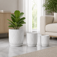 Ensemble de pots de plantes en céramique blanche ondulée avec plateau, pots décoratifs minimalistes de qualité supérieure pour la maison et le bureau