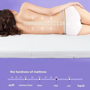 3 gấp không khí bông PoE PP PE Tatami không khí <span class=keywords><strong>Net</strong></span> 4 D Vua Kích thước cao phục hồi đàn hồi dày nệm - Product Image 3