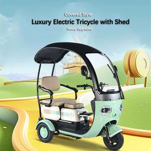 Vélo cargo <span class=keywords><strong>électrique</strong></span> à 3 roues, nouveau style, pour usage familial, 600W, <span class=keywords><strong>avec</strong></span> <span class=keywords><strong>toit</strong></span> - Product Image 4