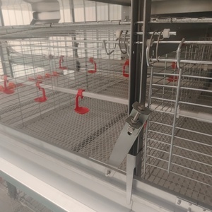 Jaula en Capas Tipo H para 288 Aves, 6 Niveles con Recolección Centralizada de <span class=keywords><strong>Huevos</strong></span> - Product Image 6