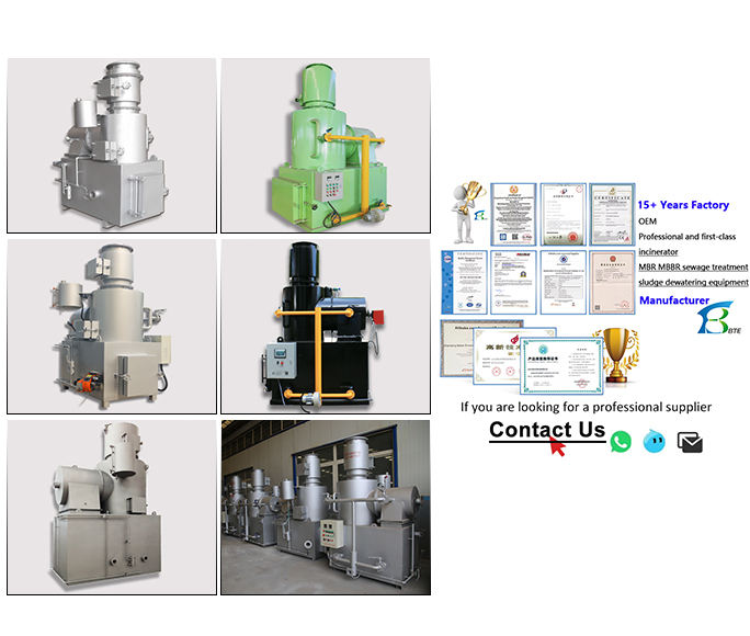 Eco-Friendly Medical Waste Incinerator for Clinic & Laboratory Waste ...