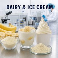 Poudre de fruits de qualité supérieure pour smoothies, préparations pour boissons, confiseries et applications laitières – Poudre de banane