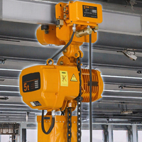 Palans électriques à chaîne 5 tonnes à faible hauteur de levage, double chaîne, palan robuste CE avec télécommande pour atelier et entrepôt, personnalisable