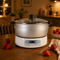 Factory Direct Sale Electric Jam Jelly Cooker StrawBerry Jam and Jelly Maker with Heating & Blending Function