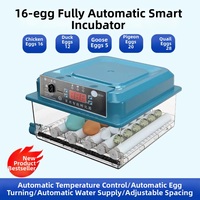 Offre Spéciale : Incubateur d'œufs 220V à double alimentation pour usage domestique et agricole (œufs de poulet, canard, pigeon) – Taux d'éclosion de 98 %, retournement automatique, économe en énergie