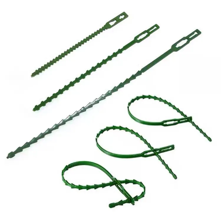 Wieder verwendbare 50PCS Pack Multi Use Green Verstellbare Kletter stütze Pflanzen befestigung Garten pflanzen krawatten Flexible Kunststoff-Garten krawatte