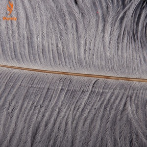 Pluma de avestruz <span class=keywords><strong>gris</strong></span> con hermosa asa de gamuza, juguete para adultos, fetiche, para coqueteo, para palmadas, bondage, estimulador, decoración - Product Image 6