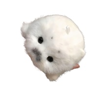Peluche Adorable Phoque Bébé Pendentif Thème Marin pour Machine à Pinces Vente en Gros avec Rembourrage Coton PP 31cm-50cm