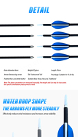 Flèches d'entraînement pour arc recurve, pratique, adultes, durables, en fibre de verre, 6 mm, lot de 10, plumes en plastique Yulong, personnalisables, tir à l'arc