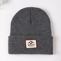 SOLPOP Wildlife – bonnet tricoté de couleur unie pour femmes et hommes, bonnet décontracté doux, coupe-vent, chaud pour l'hiver, pour le camping et le cyclisme