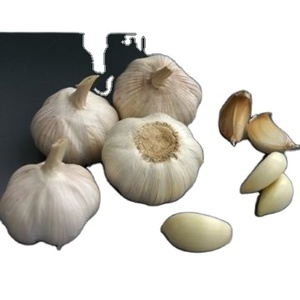 Venta caliente precio barato Bawang Putih ajo/ajo fresco Tailandia/proveedor mayorista de ajo - Product Image 1