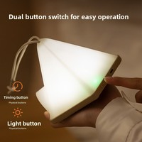 Lanterne de camping en forme de mini tente, LED à 6 niveaux de luminosité, lampe de nuit portable suspendue